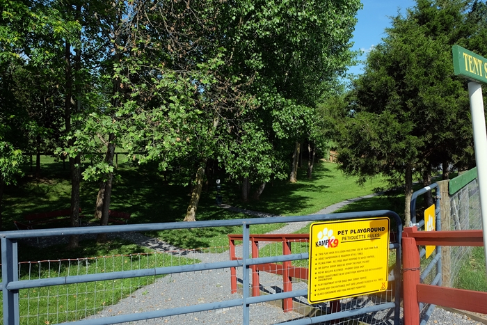 luray koa dog park