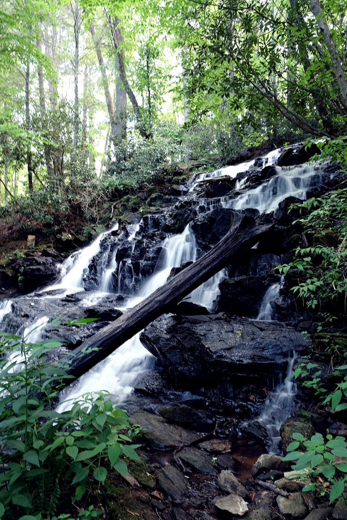 Vogel State Park - Blairsville, GA