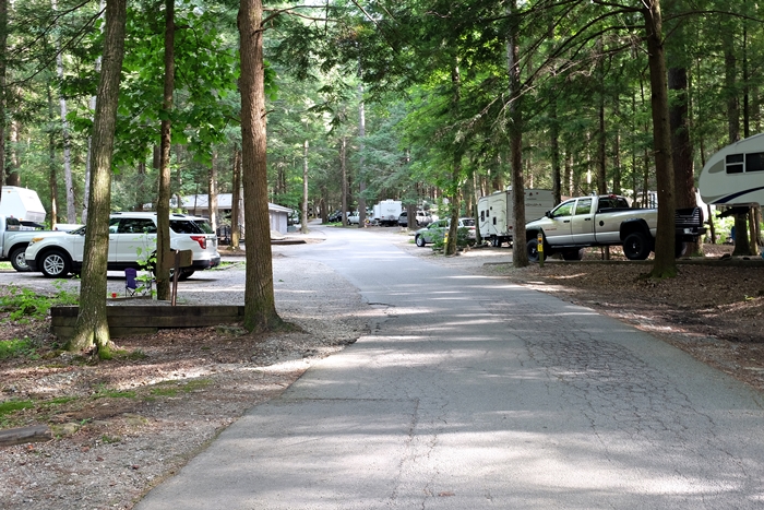 vogel state park campground