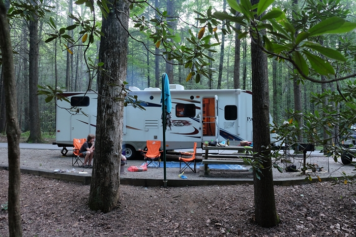 site 38 at vogel state park in georgia