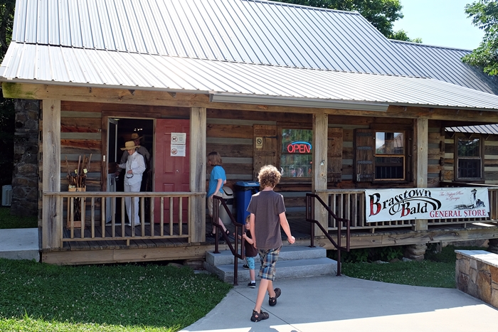 brasstown bald store