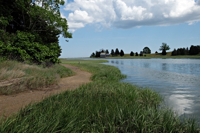 nauset marsh trail, eastham