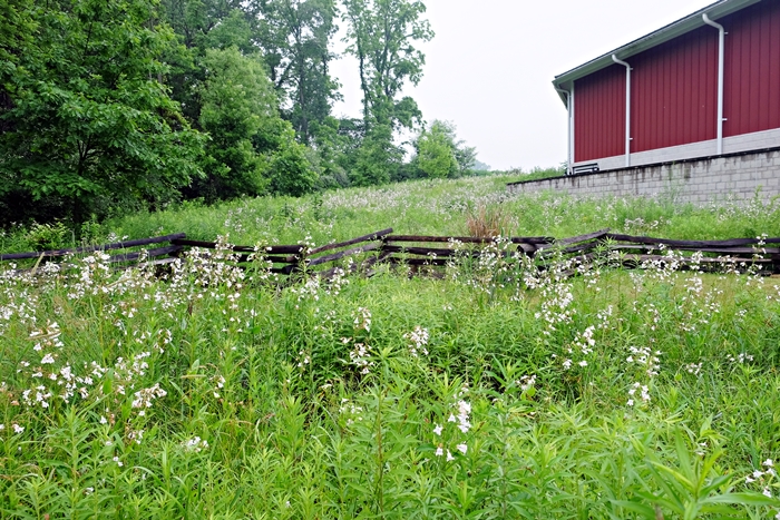 gettysburg11s