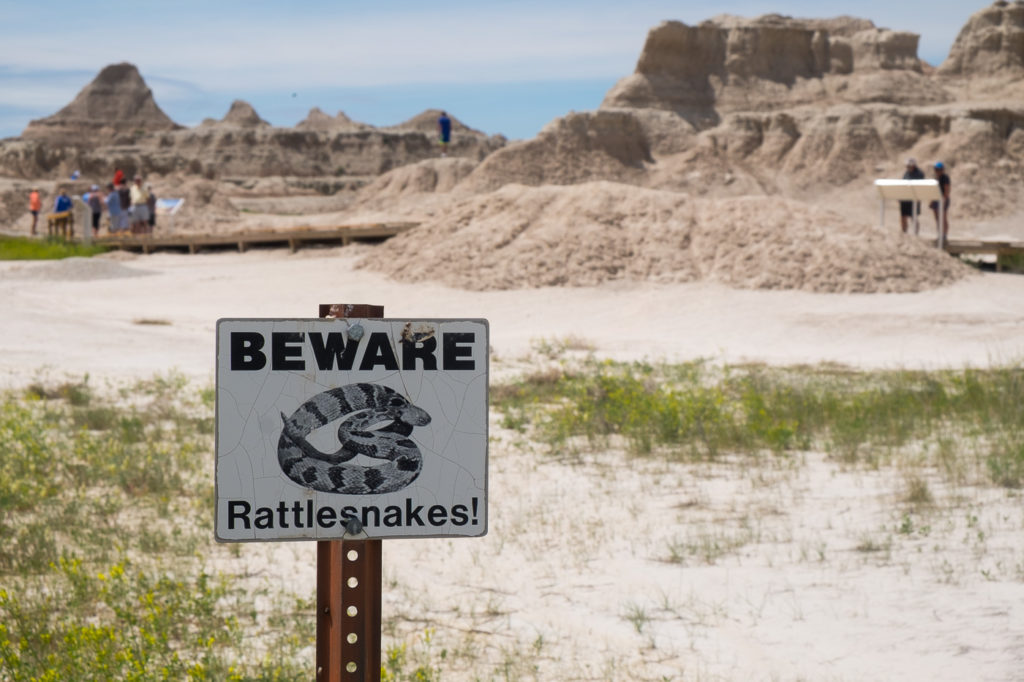 beware rattlesnakes sign, badlands