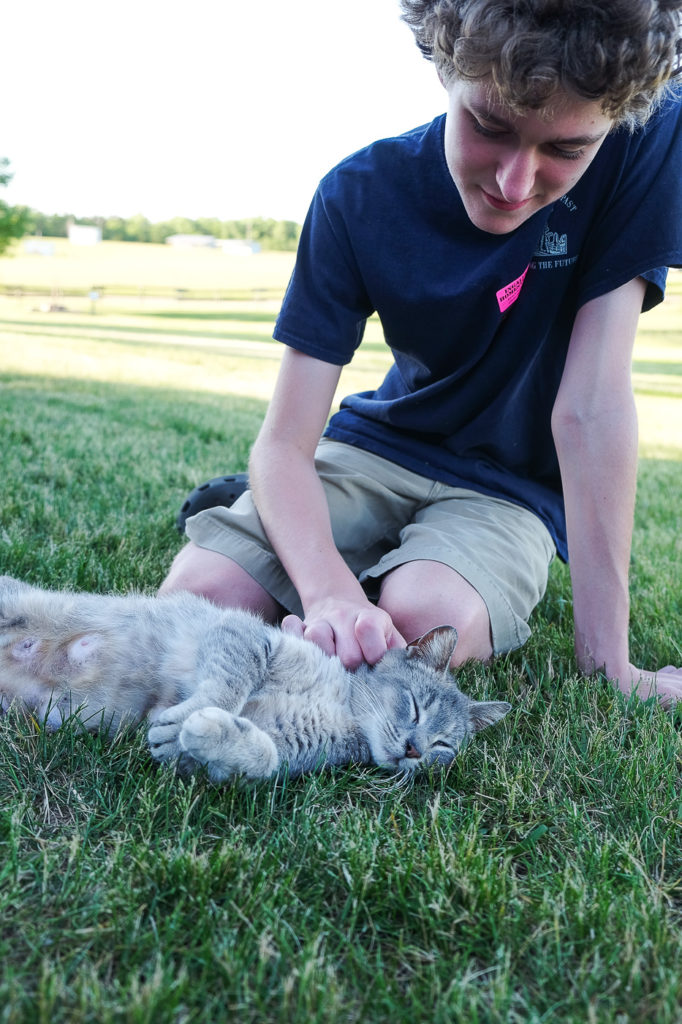 petting Mia the barn cat