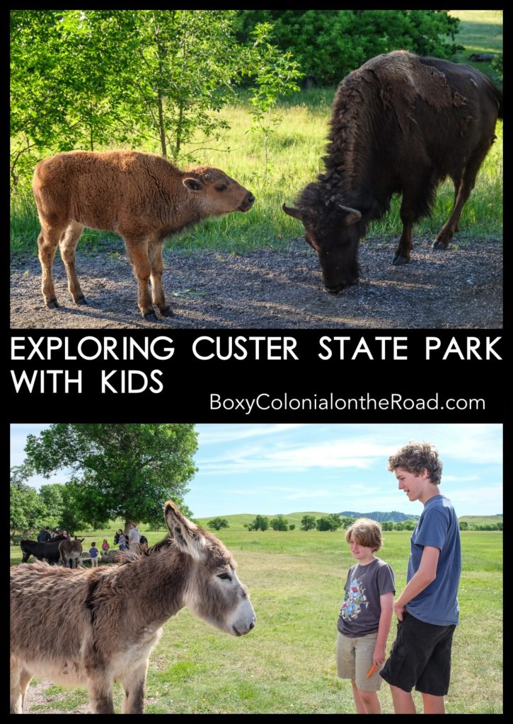 Best things to do in Custer State Park, in the Black Hills of South Dakota, with kids