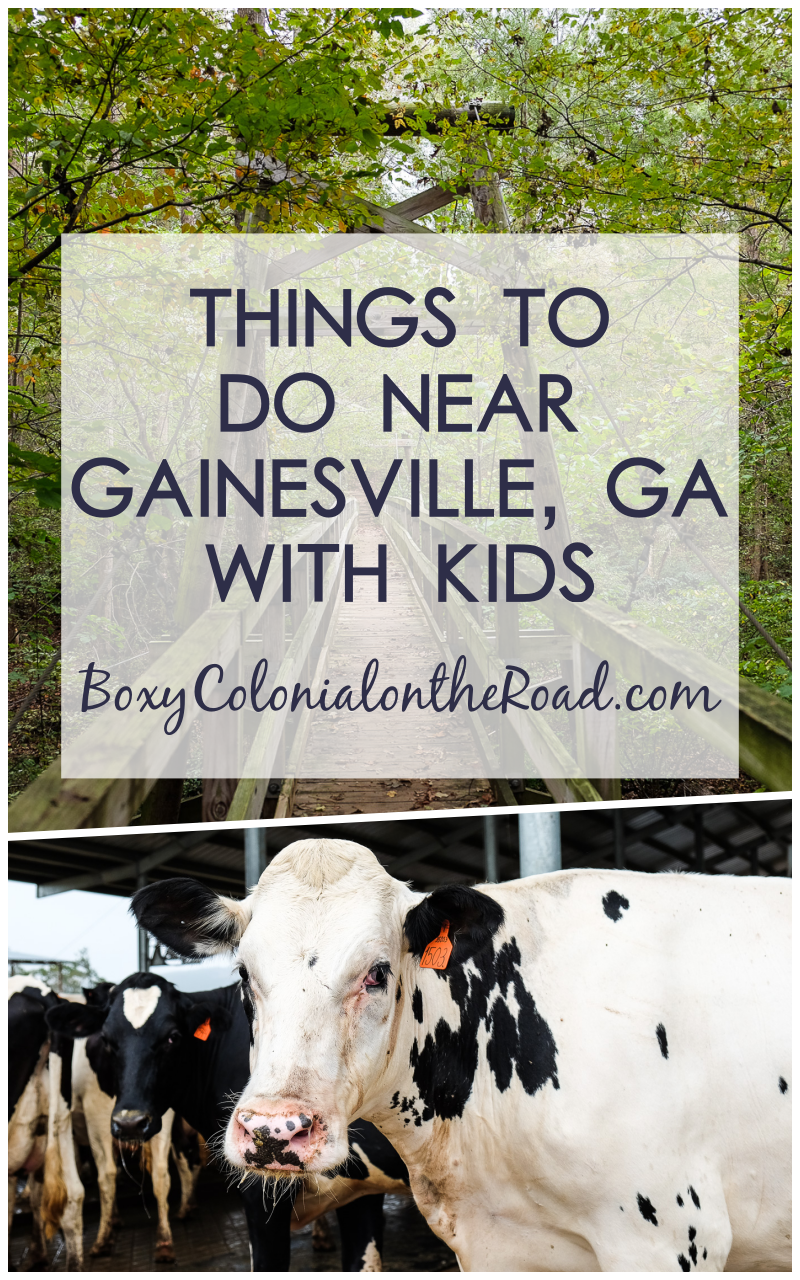 Best things to do in and near Gainesville, GA with kids