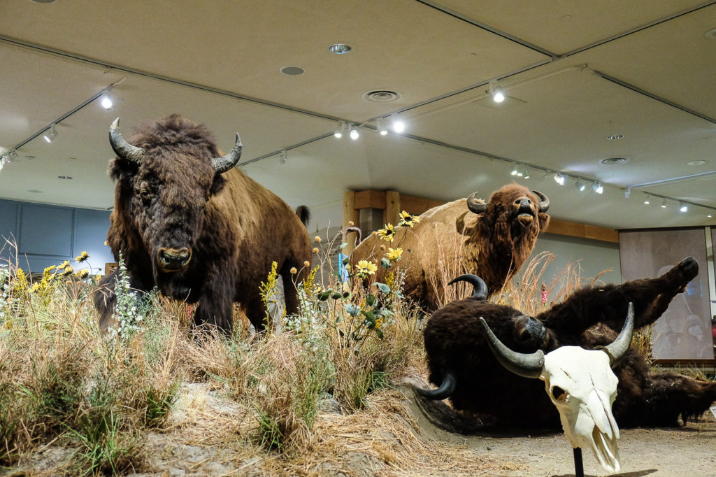 Buffalo Bill Center of the West - Travel Wyoming