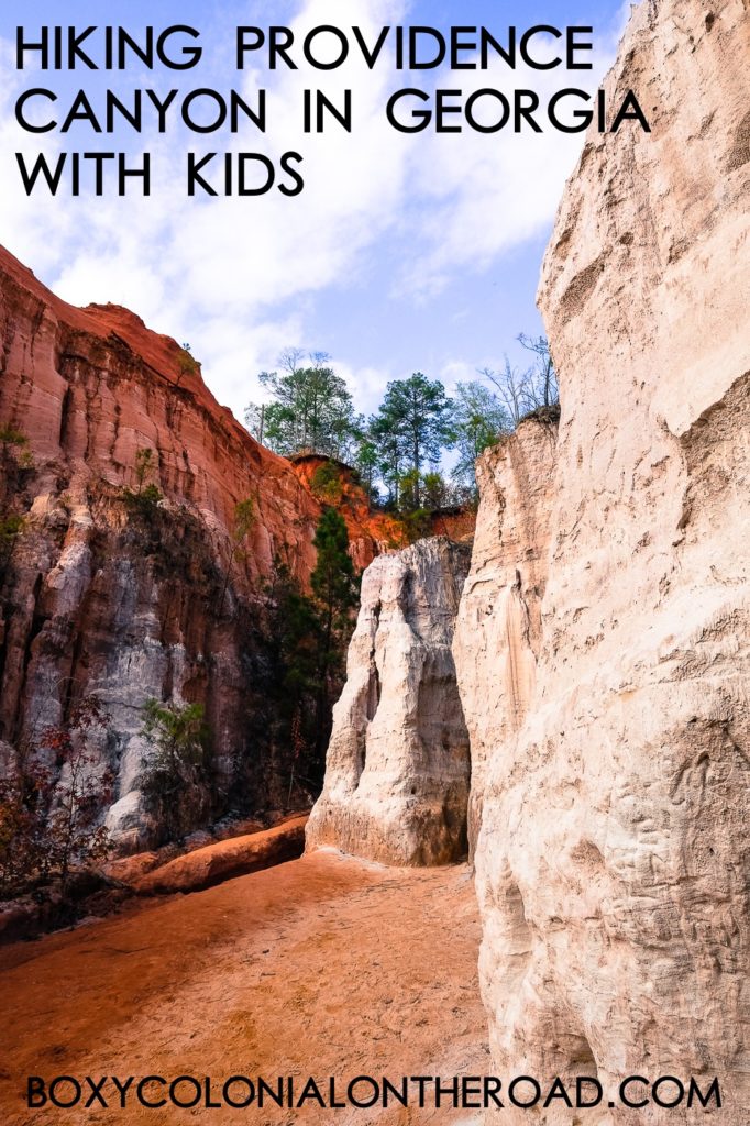 hiking providence canyon state park in lumpkin, Georgia with kids #statepark #travel #familytravel #hiking #georgiahikes