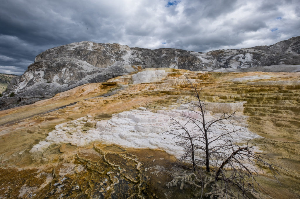 mammoth hot springs, Yellowstone