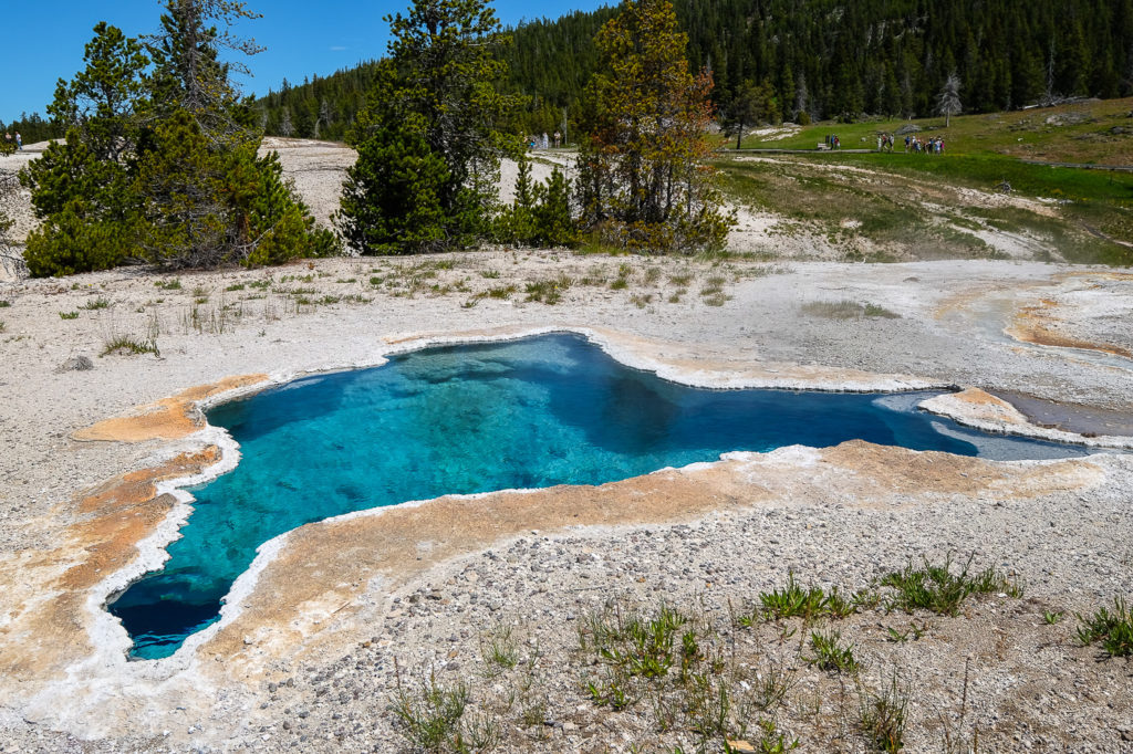 upper geyser basin, Yellowstone