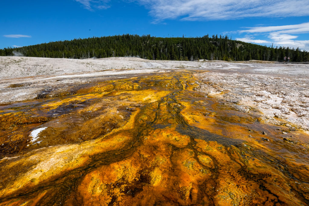 Upper Geyser basin, Yellowstone