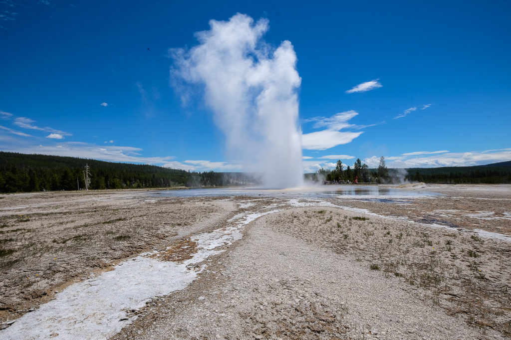 Daisy geyser, Yellowstone