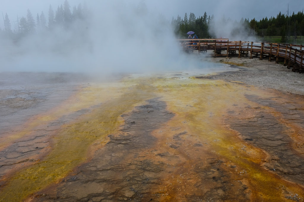 west thumb geyser basin at Yellowstone national park