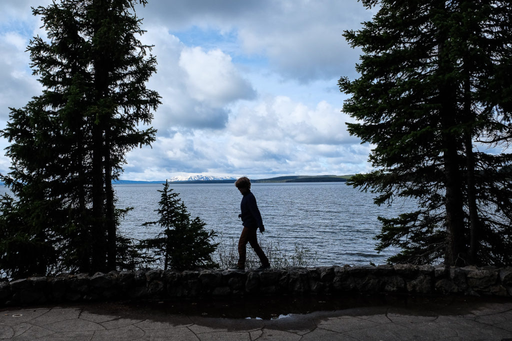 touring Yellowstone east with kids