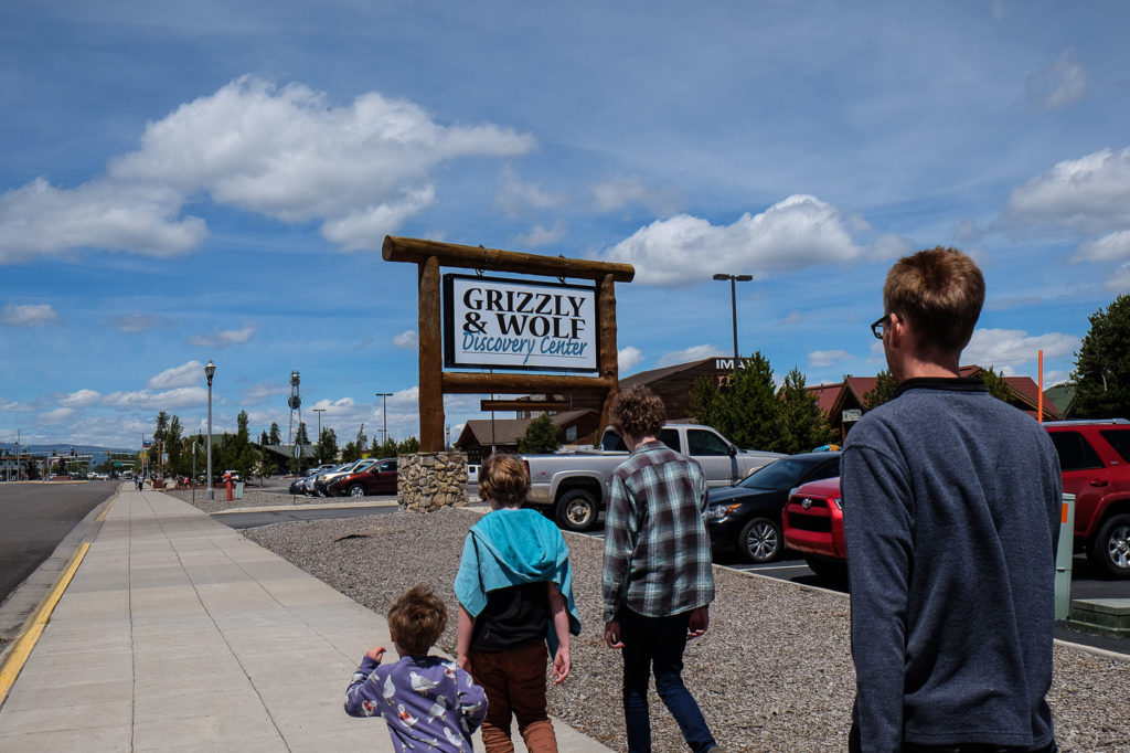 visiting the Grizzly and Wolf Discovery Center in West Yellowstone