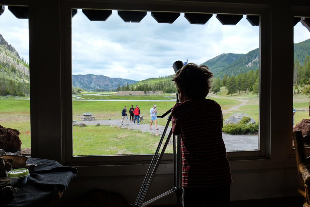 yellowstone with kids