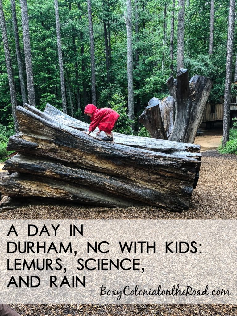 One day in Durham, NC with kids: touring the Duke Lemur Center and visiting the Museum of Life and Science