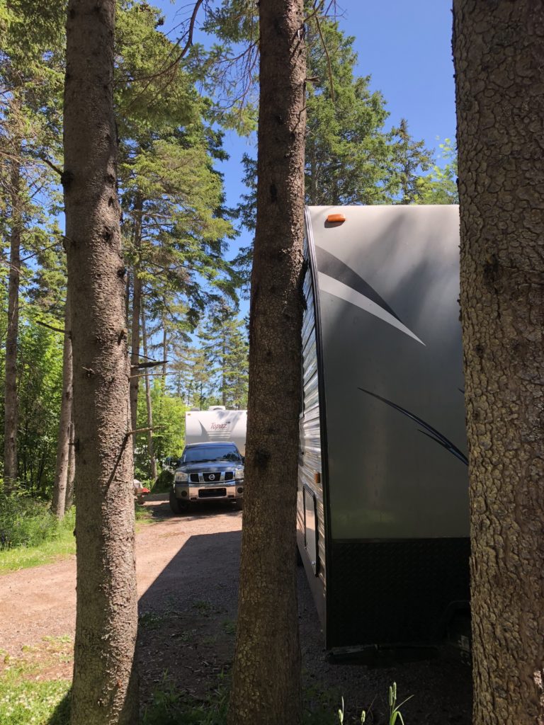 stuck on a tree at Cavendish Campground