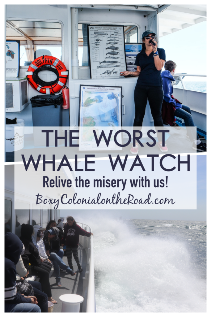 We went on the most miserable whale watch in history. Come with me as I revisit the trauma!