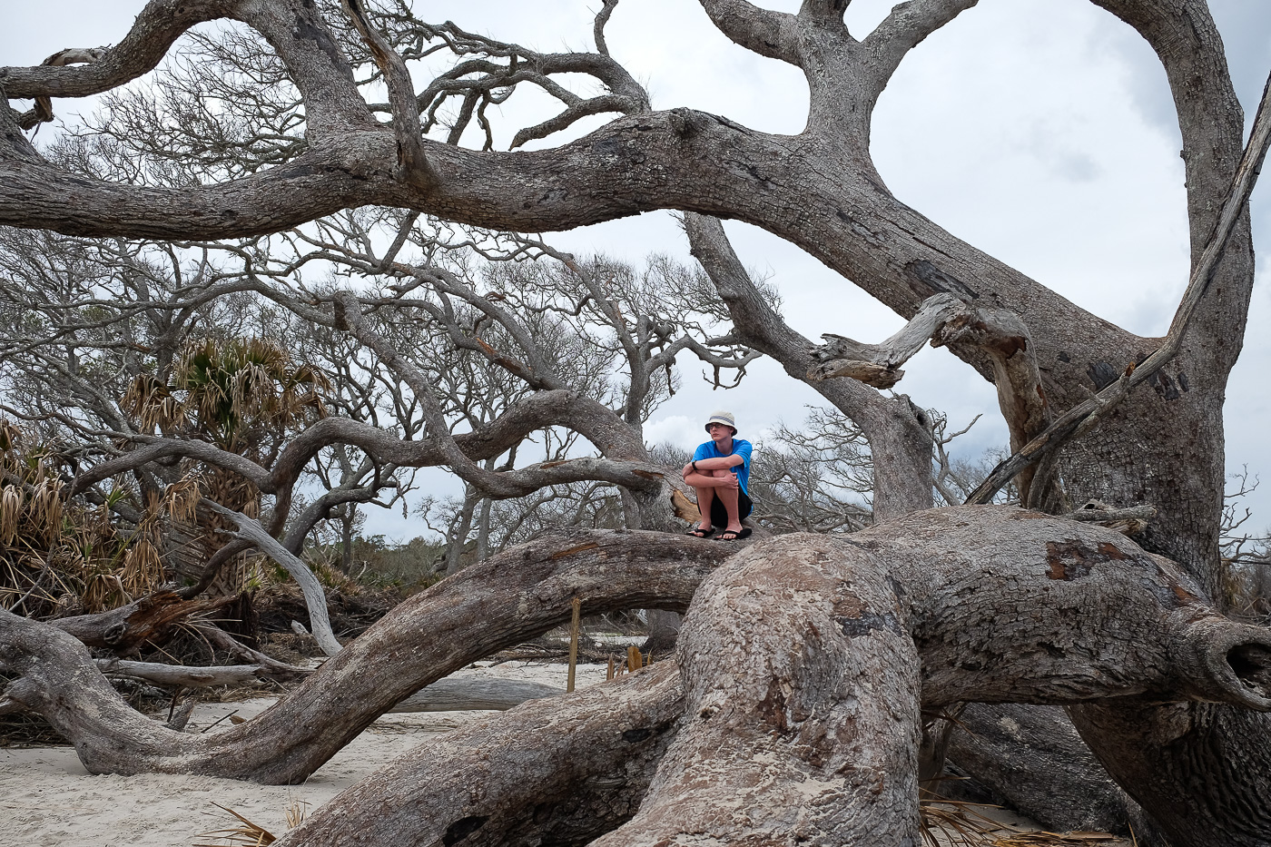 14 Things to Do on Jekyll Island with Kids - Boxy Colonial On the Road