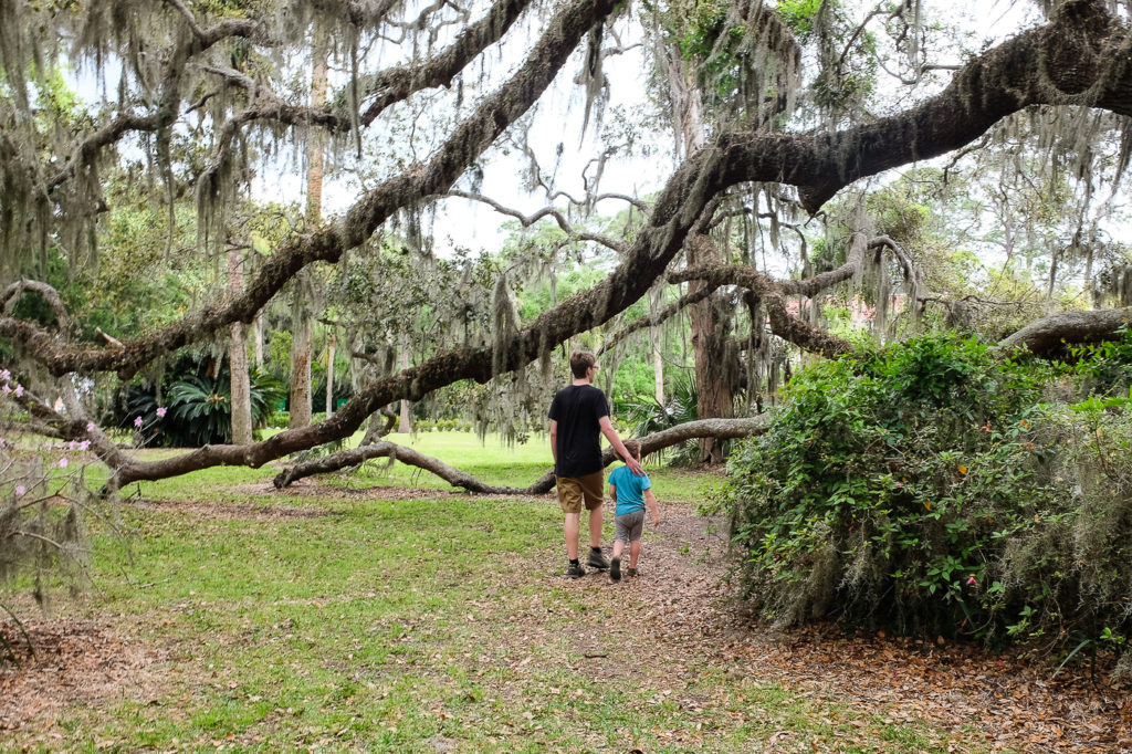 14 Things to Do on Jekyll Island with Kids Boxy Colonial