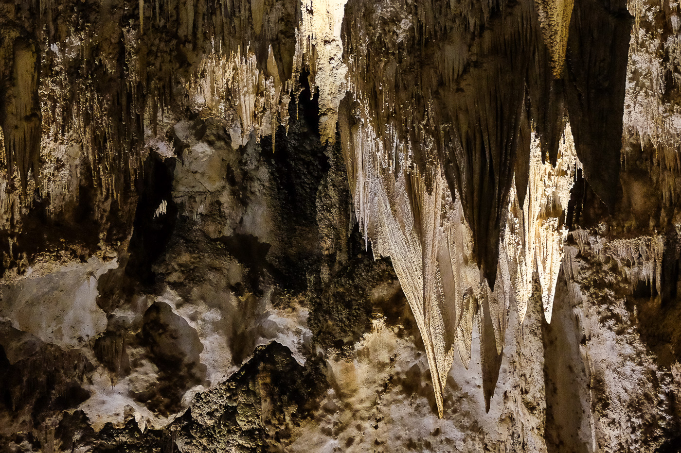 A Day at Carlsbad Caverns with Kids: a Cave, Baby Raccoons, and a Whole ...