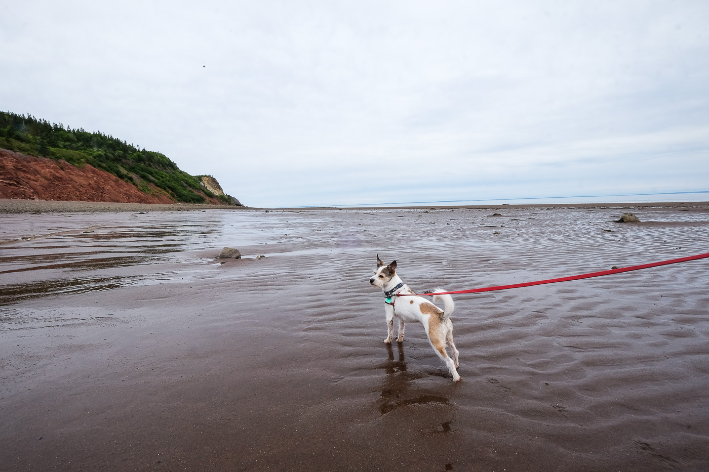 Glooscap Campground In Parrsboro, Nova Scotia: Campground Review - Boxy 