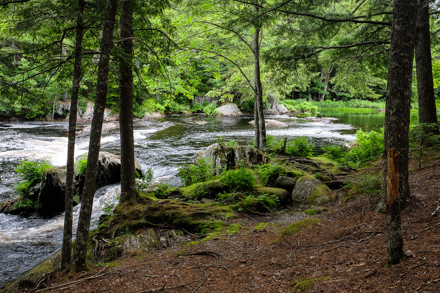 People mostly think of the coasts when they think of visiting Nova Scotia: ...