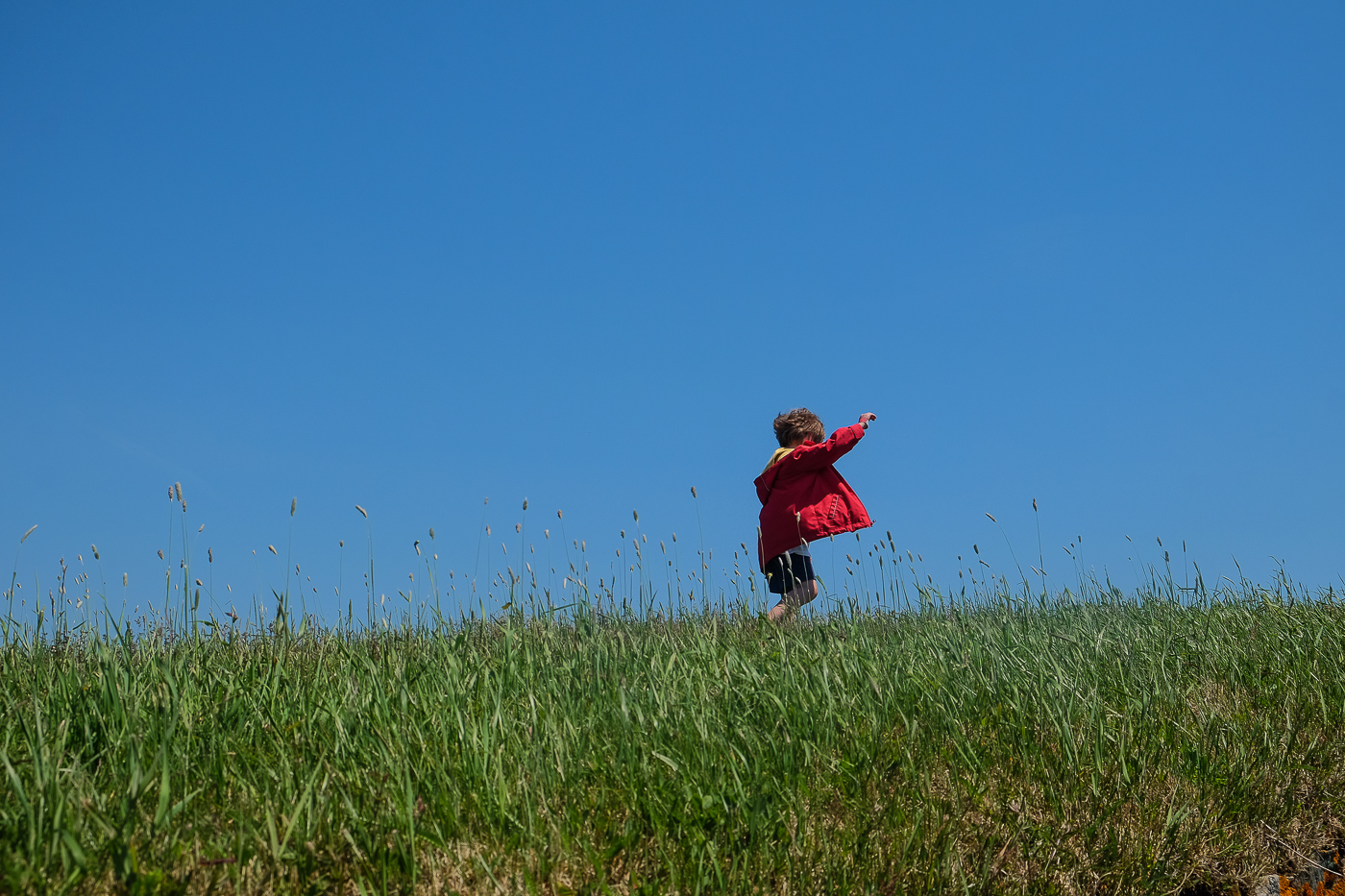 The Fortress Of Louisbourg: Exploring Nova Scotia With Kids - Boxy 