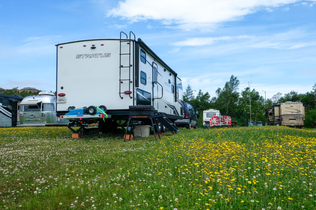 Loop 4 Campsite in Pippy Park, St. John's