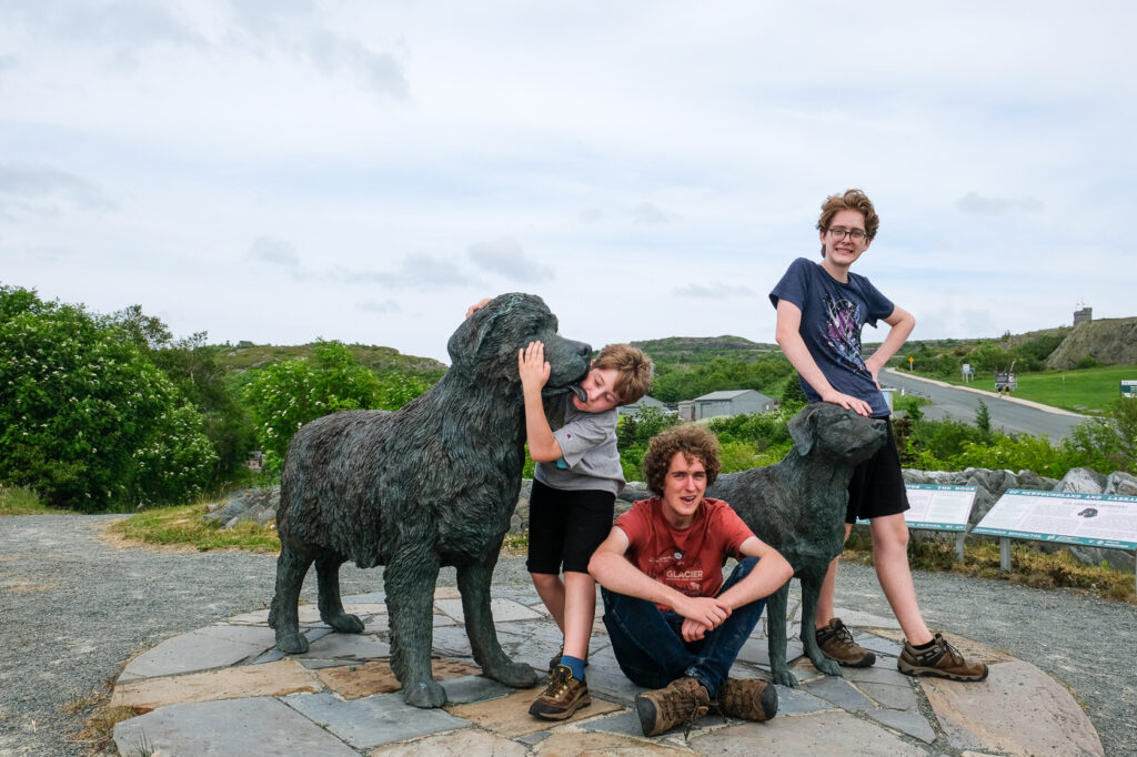 Newfoundland and Labrador dog statues with kids