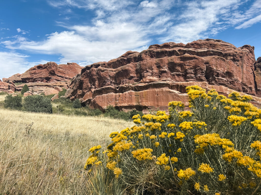 Red Rocks with wildflowers